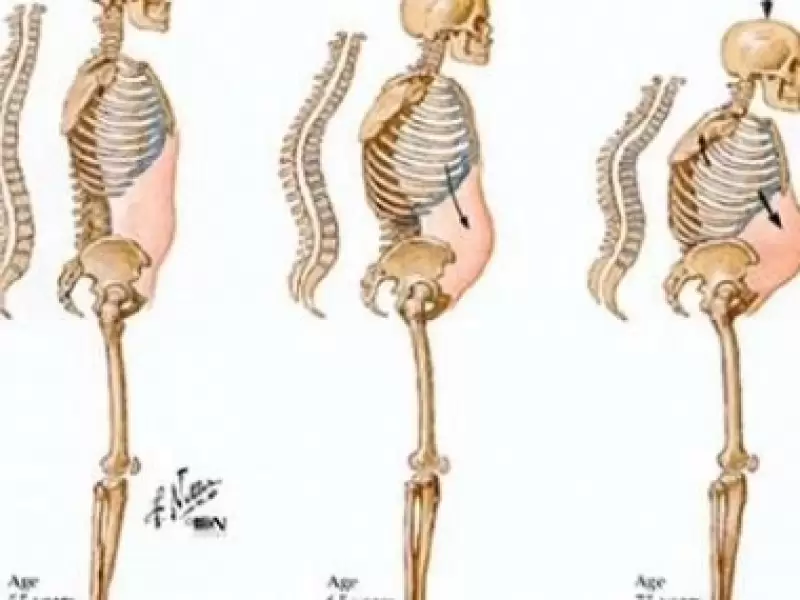 gebelikte-kas-iskelet-sistemi