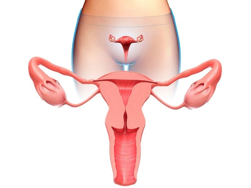 vajina-daraltma-mumkun-mudur