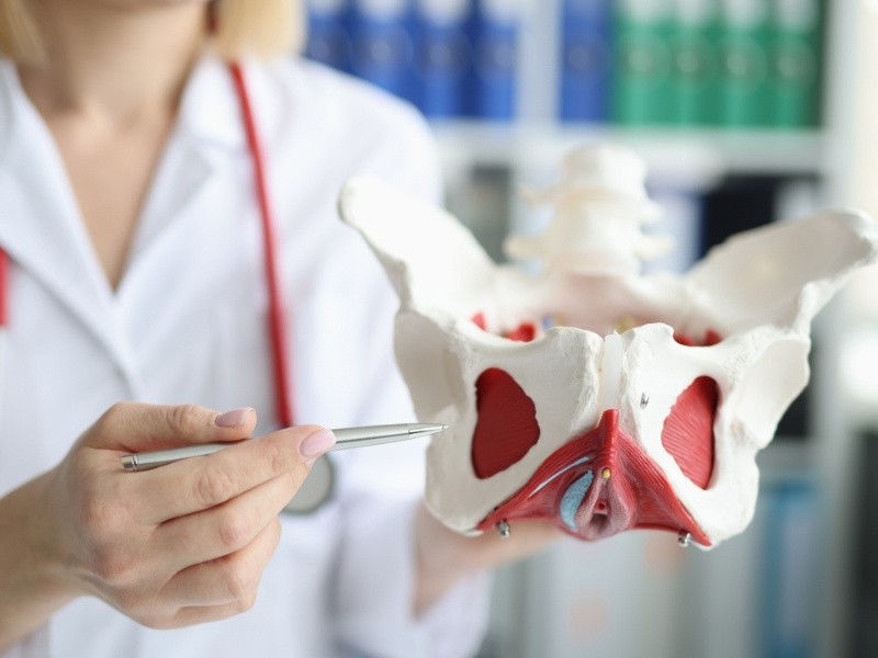 pelvik-taban-rehabilitasyonu