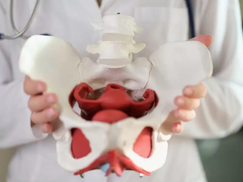 pelvik-taban-fizyoterapisi