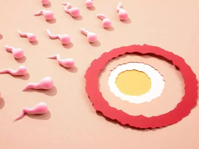 dusuk-yumurta-rezervi-nedir